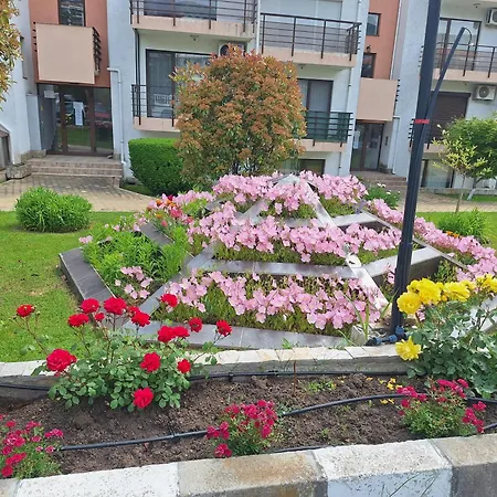 Diamond By The Sea *