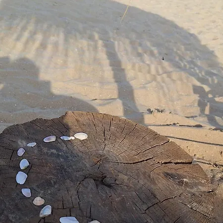 Diamond By The Sea Apartment Sveti Vlas