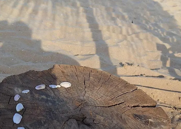 Diamond By The Sea Appartement Sveti Vlas